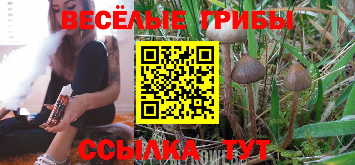 Калач-на-Дону  Псилоцибиновые грибы Magic Shrooms  Вход с VPN  Галлюциногенные грибы прущие грибы 