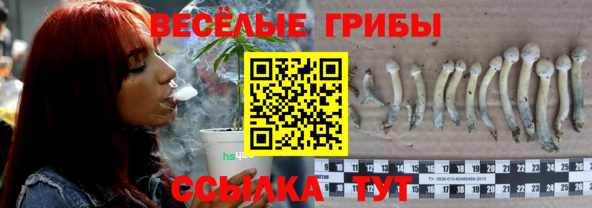 Псилоцибиновые грибы Magic Shrooms Калач-на-Дону